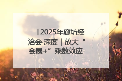 2025年廊坊经洽会·深度｜放大“会展+”乘数效应 打造消费新场景