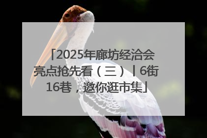2025年廊坊经洽会亮点抢先看（三）丨6街16巷，邀你逛市集