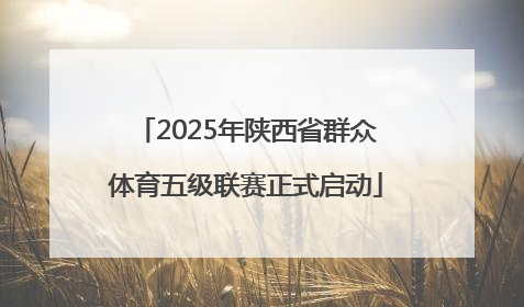 2025年陕西省群众体育五级联赛正式启动
