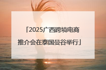 2025广西跨境电商推介会在泰国曼谷举行