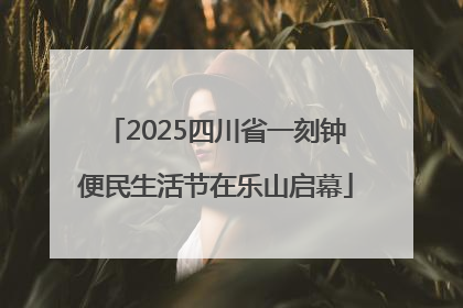 2025四川省一刻钟便民生活节在乐山启幕