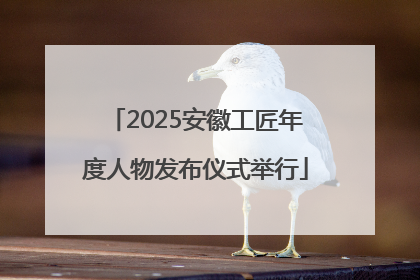 2025安徽工匠年度人物发布仪式举行