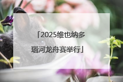 2025维也纳多瑙河龙舟赛举行