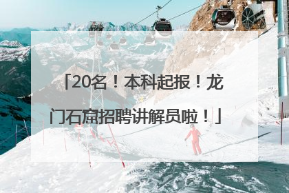 20名！本科起报！龙门石窟招聘讲解员啦！