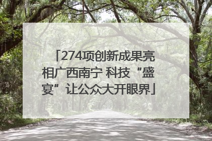 274项创新成果亮相广西南宁 科技“盛宴”让公众大开眼界