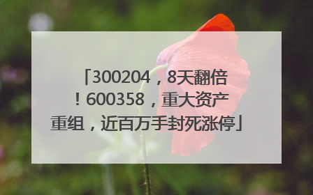 300204，8天翻倍！600358，重大资产重组，近百万手封死涨停