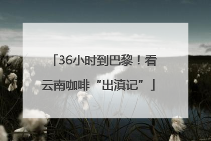 36小时到巴黎！看云南咖啡“出滇记”