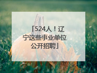 524人！辽宁这些事业单位公开招聘