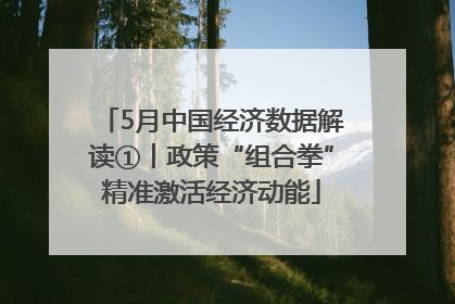 5月中国经济数据解读①丨政策“组合拳”精准激活经济动能