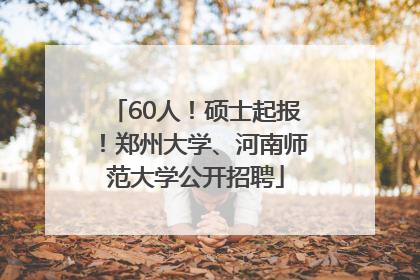 60人！硕士起报！郑州大学、河南师范大学公开招聘