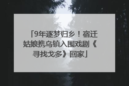 9年逐梦归乡！宿迁姑娘携乌镇入围戏剧《寻找戈多》回家