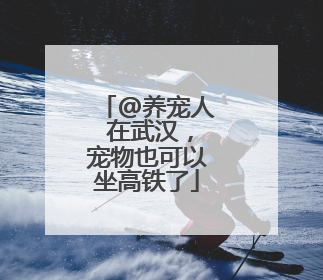 @养宠人 在武汉，宠物也可以坐高铁了