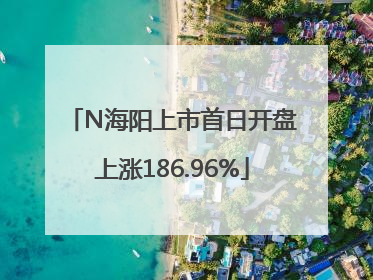 N海阳上市首日开盘上涨186.96%