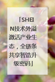 SHEIN技术外溢激活产业生态，全链条共享智造升级密码